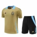 Argentina Trening Dres Kompleti 2024/25 - Gold