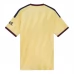 Arsenal Treći Dres 2026/27