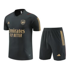 Arsenal Trening Dres Kompleti 2023/24 - Siva