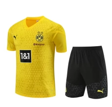 Borussia Dortmund Trening Dres Kompleti 2023/24 - Yelow