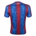Crystal Palace Nogometni Dresovi Domaći 2024/25