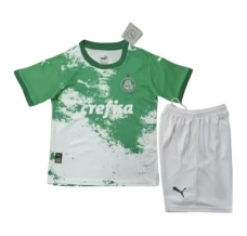 Dječji Palmeiras Nogometni Dresovi Domaći Special Edition White 2024/25