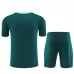 Dječji Tottenham Hotspur Trening Dres Kompleti 2024/25 - Shorts Zelena