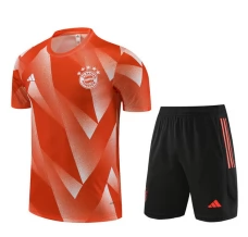 FC Bayern München Trening Dres Kompleti 2023/24 - Orange
