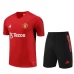 Manchester United Trening Dres Kompleti 2023/24 - Crvena