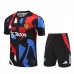 Manchester United Trening Dres Kompleti 2024/25 - Shorts Crna