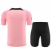 Paris Saint-Germain Trening Dres Kompleti 2023/24 - Pink