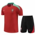 Portugal Trening Dres Kompleti 2024/25 - Dark Crvena